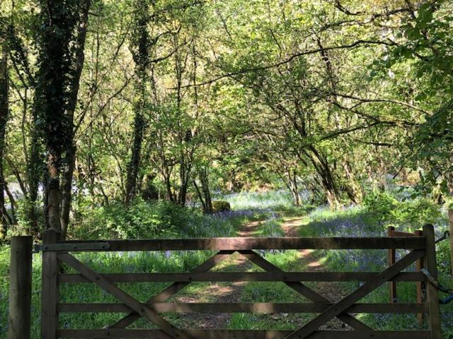 Down The Garden Path Vintage Caravan B&B , Dartmoor Ньютон-Аббот Екстер'єр фото