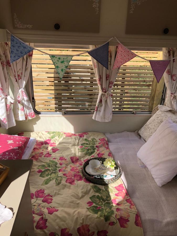 Down The Garden Path Vintage Caravan B&B , Dartmoor Ньютон-Аббот Екстер'єр фото