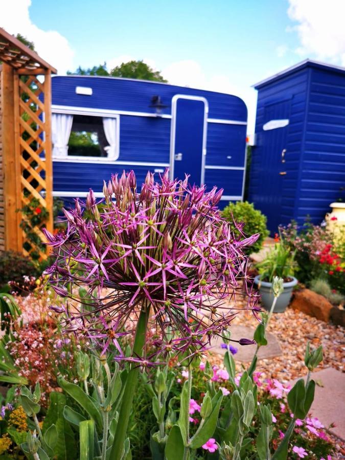 Down The Garden Path Vintage Caravan B&B , Dartmoor Ньютон-Аббот Екстер'єр фото