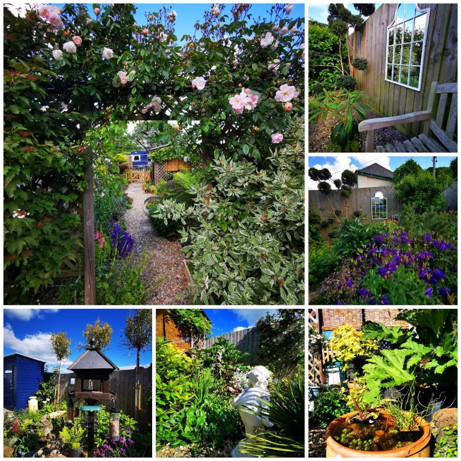 Down The Garden Path Vintage Caravan B&B , Dartmoor Ньютон-Аббот Екстер'єр фото